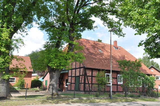 Im Detail - Negenborn im Burgdorfer Land © OKOK TELEVISION