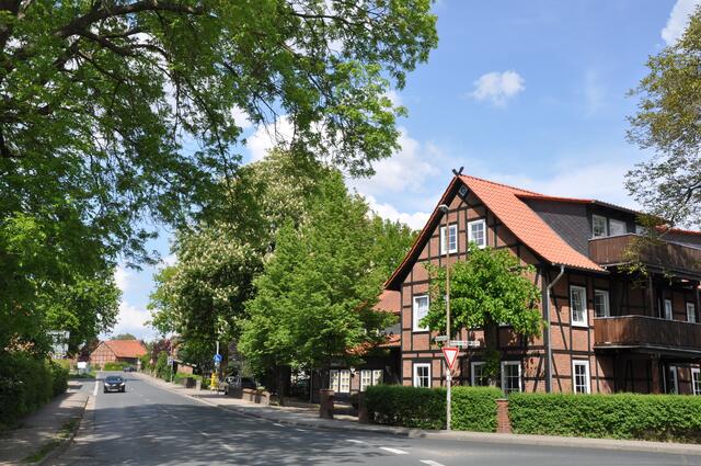 Im Detail - Negenborn im Burgdorfer Land © OKOK TELEVISION