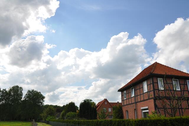 Im Detail - Negenborn im Burgdorfer Land © OKOK TELEVISION