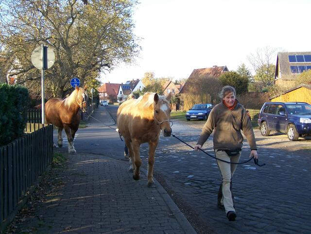 Im Detail - Meitze im Burgdorfer Land © OKOK TELEVISION