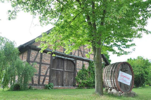 Im Detail - Negenborn im Burgdorfer Land © OKOK TELEVISION