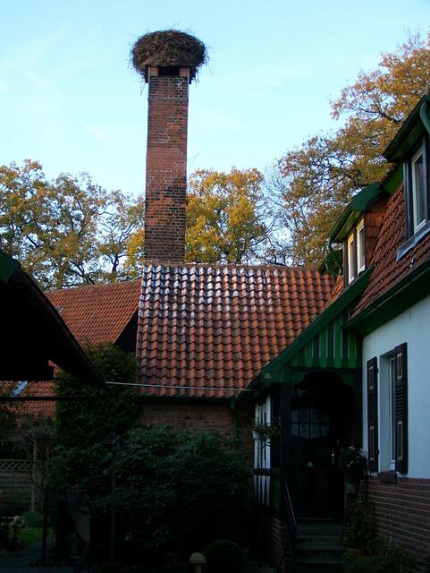 Im Detail - Meitze im Burgdorfer Land © OKOK TELEVISION