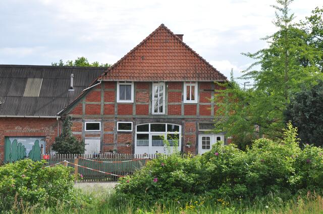 Im Detail - Negenborn im Burgdorfer Land © OKOK TELEVISION