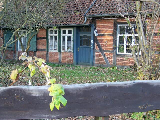 Im Detail - Meitze im Burgdorfer Land © OKOK TELEVISION