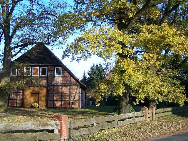 Im Detail - Meitze im Burgdorfer Land © OKOK TELEVISION