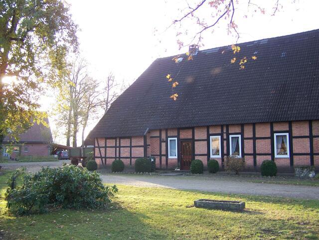 Im Detail - Meitze im Burgdorfer Land © OKOK TELEVISION