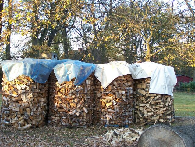 Im Detail - Meitze im Burgdorfer Land © OKOK TELEVISION