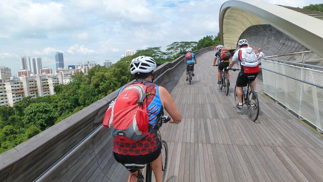 Henderson Waves Brigde