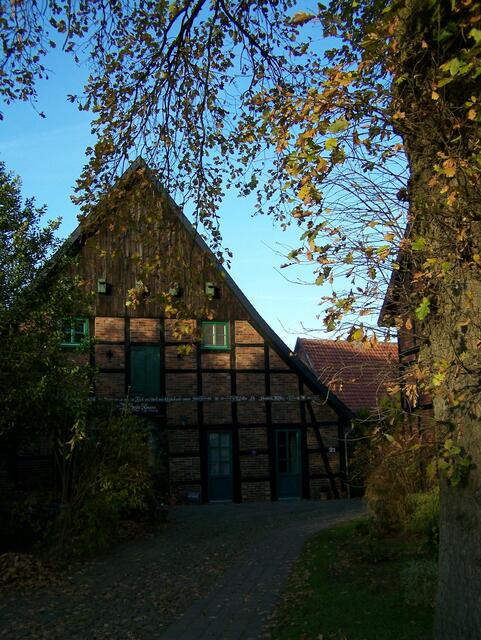 Im Detail - Meitze im Burgdorfer Land © OKOK TELEVISION
