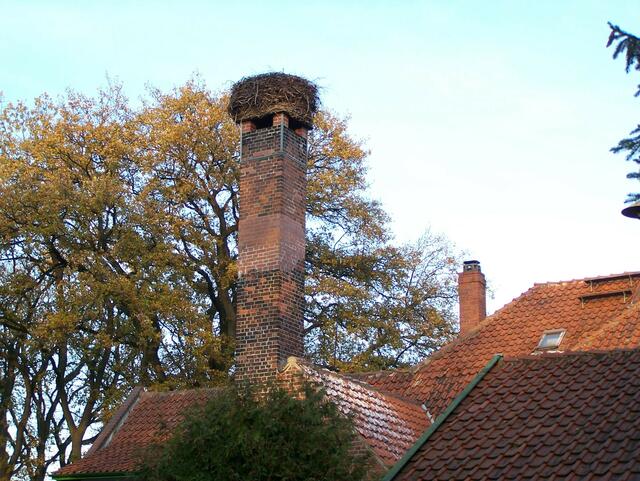 Im Detail - Meitze im Burgdorfer Land © OKOK TELEVISION