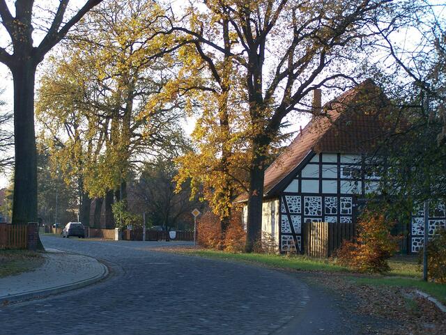 Im Detail - Meitze im Burgdorfer Land © OKOK TELEVISION