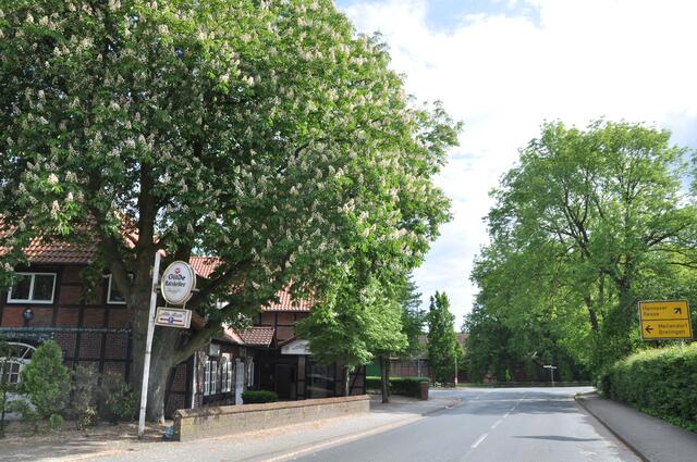 Im Detail - Negenborn im Burgdorfer Land © OKOK TELEVISION