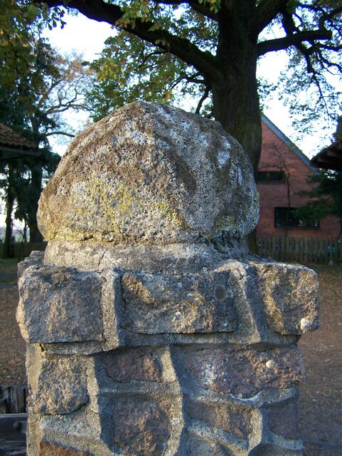 Im Detail - Meitze im Burgdorfer Land © OKOK TELEVISION