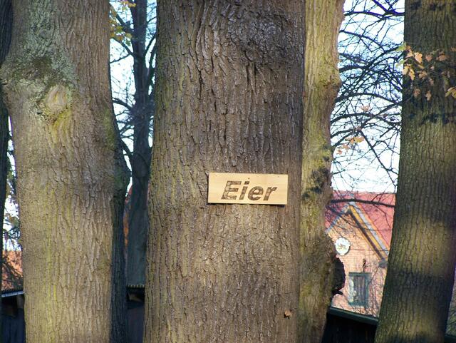Im Detail - Meitze im Burgdorfer Land © OKOK TELEVISION
