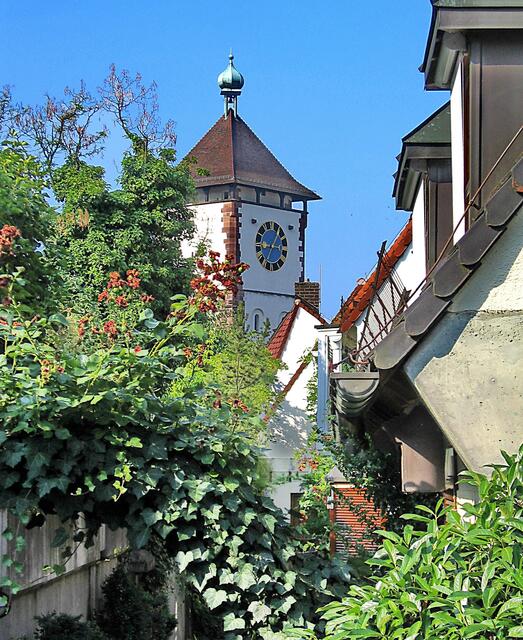 Schwabentorblick