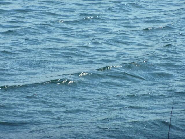 Kabbeliges Wasser: Es ist nicht die Ostsee, sondern immer noch der Wietzesee.