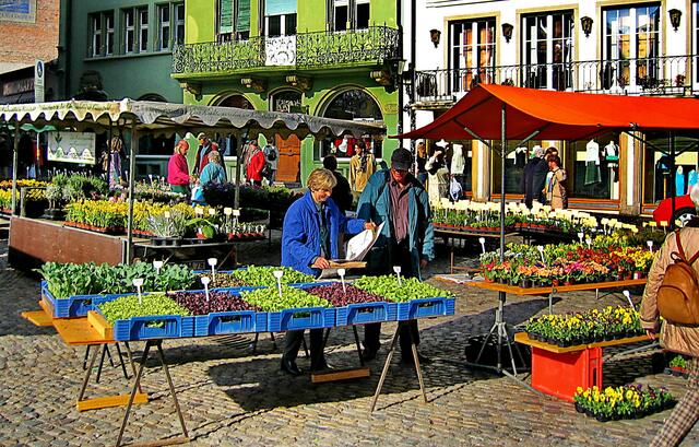 Wochenmarkt a d Münsterplatz