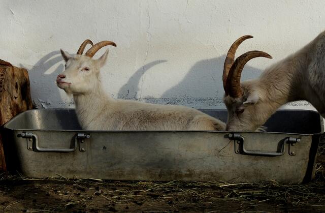Was ist das denn, ich will träumen..., oder träume ich etwa?