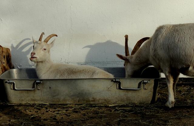 Heeee, was machst du da?