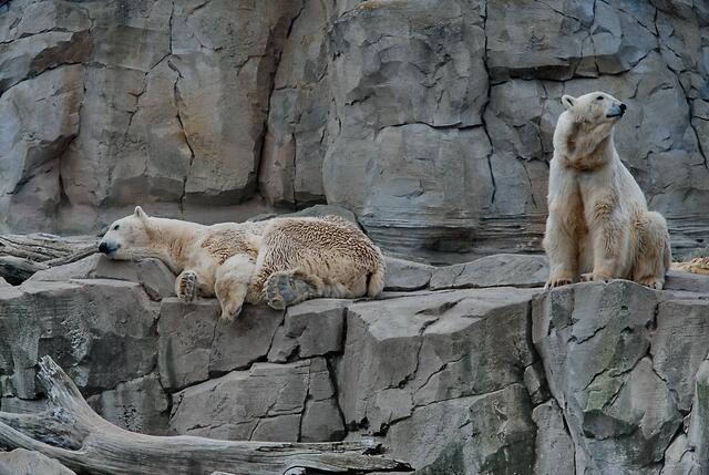 Hallo, wer knipst mich da ... ???