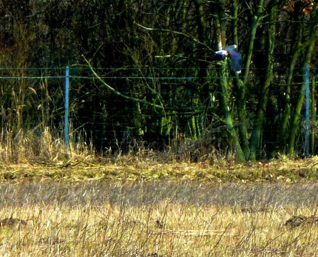 Im Flug gerade noch erwischt