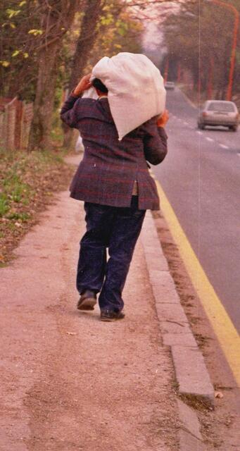 seine täglichen Kartoffeln