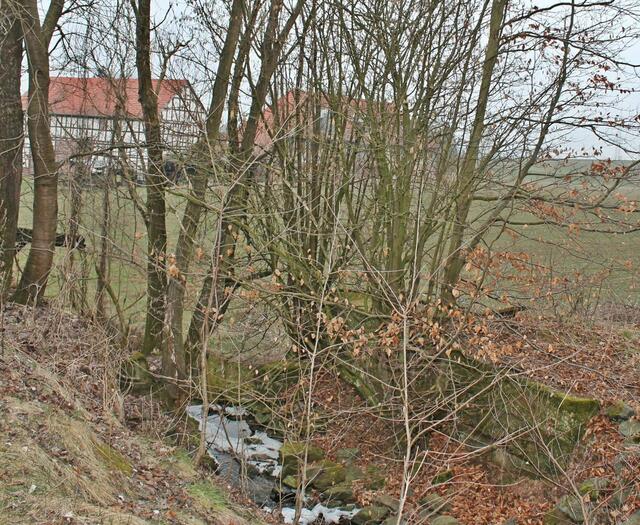 Der 'Netzebach' und ein Rest der alten Staumauer.