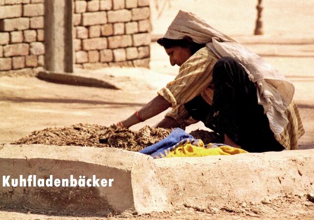 aus Büffelkot wird Heizmaterial