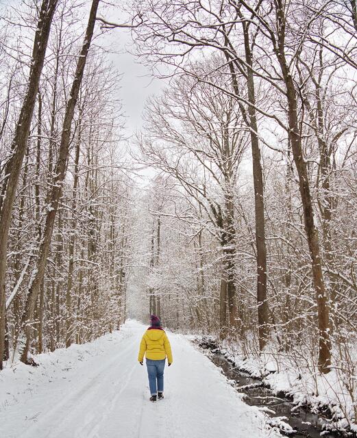 Immer noch Winter im,  Mooswald bei Schallstadt