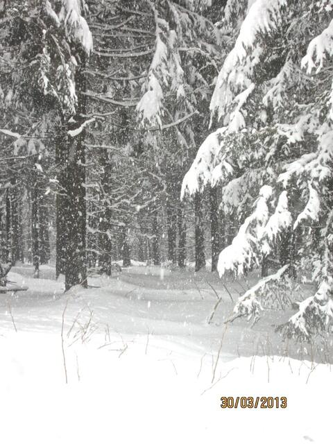 Der tiefverschneite Harz von der Rodelstrecke aus