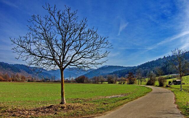 Im Münstertal