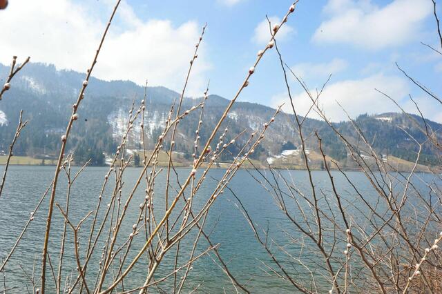 Blick auf´s Westufer