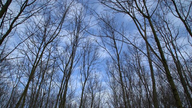 Der Himmel Frühlingsblau