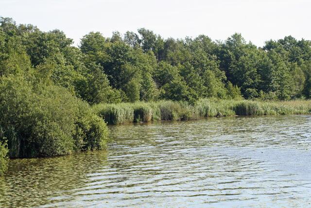 Ein schöner Strandblick des Steinhuder Meers.