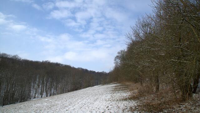 Im kalten Tal