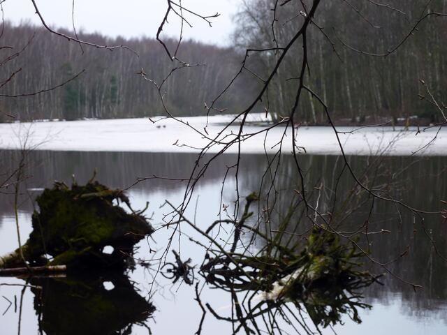 Winterstimmung am Altwarmbüchener See. Im Hintergrund befindet sich eine mit Schnee bestäubte Eisfläche.