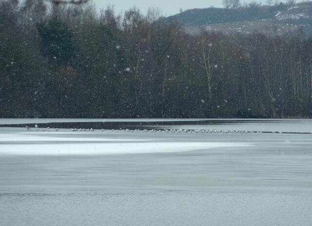 Es schneit.