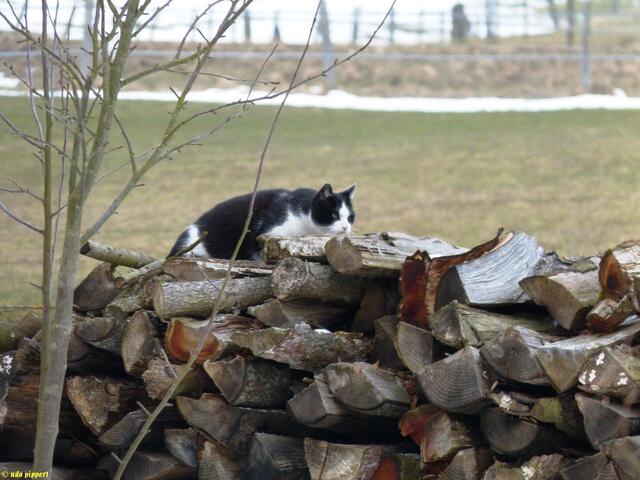 Irgendwas ist doch da hinten.