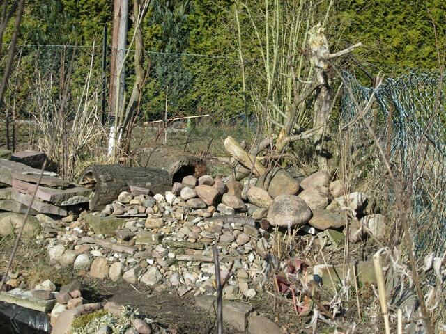 Rechts die neuen,"fetten" Steine hindrapiert.