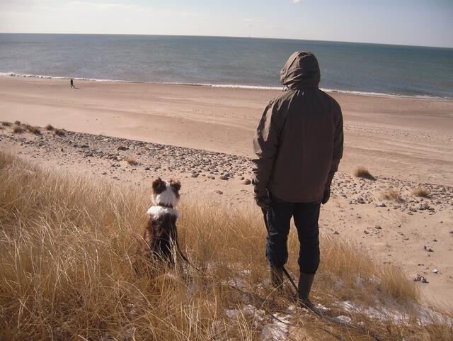 Mit Herrchen den Strand bewachen