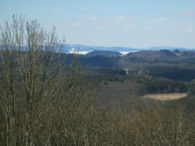 Blick in das Sauerland, links hinter dem Baumwipfel der Bollerberg bei Hallenberg-Hesborn.