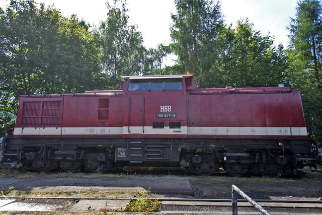 199 874-9 ein Harzkamel