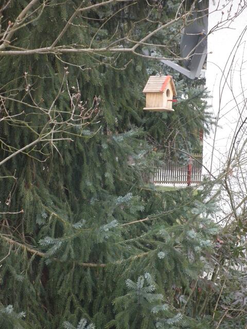 Mini Vogelhaus