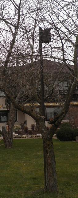 Altes Vogelhaus im Obstbaum!