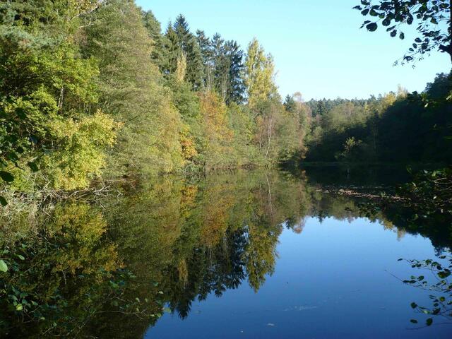 Kurz nach dem Start kommt man am idyllischen Georgsteich vorbei. Der Teich wurde vor über 300 Jahren künstlich angelegt, um die nahe Wolfsmühle mit Wasser zu versorgen.