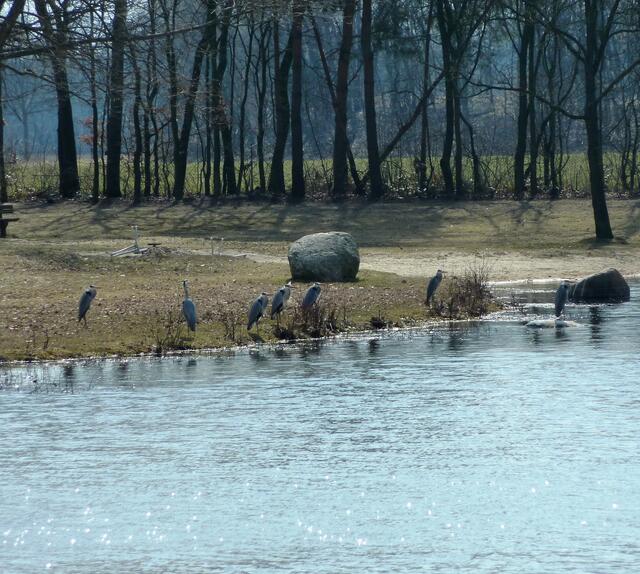 Die Sonne zaubert Diamanten auf das Wasser.