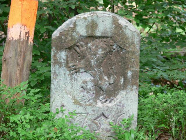 Am Wanderweg sind viele Grenzsteine aus dem Jahr 1756 zu sehen. Sie markierten bis 1803 die Grenze der Landgrafschaft Hessen-Kassel zum Kurfürstentum Mainz.