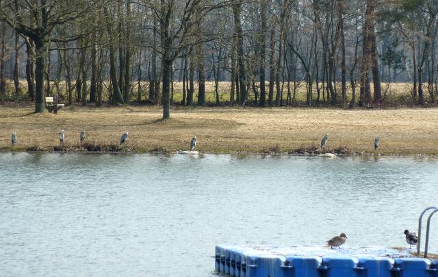 Am Ufer aufgereiht.
