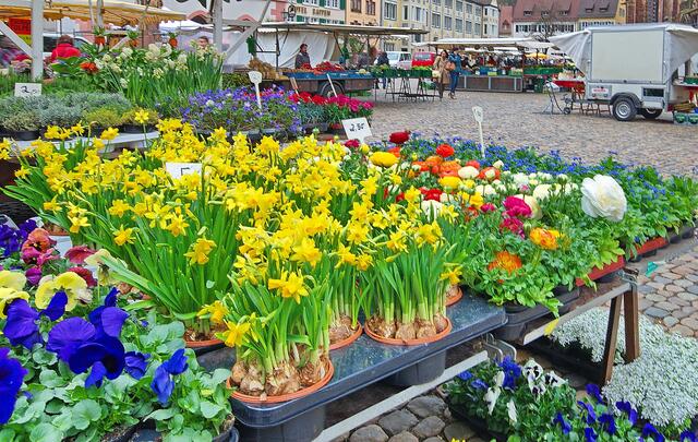 Markt 3