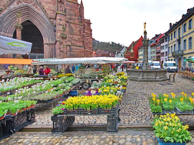 Markt auf dem Münsterplatz